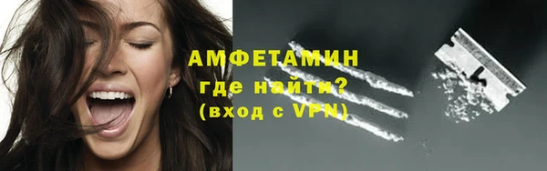 твердый Абаза